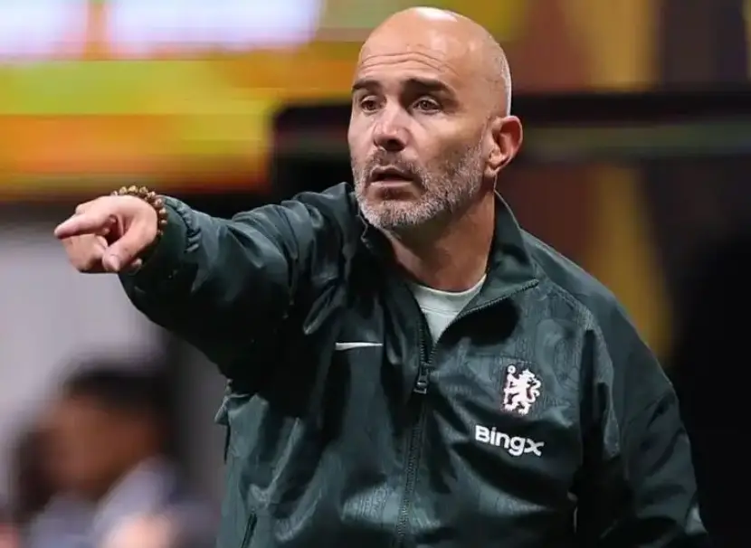 黑马的称号, 成功率不足 黑马的称号, 成功率不足